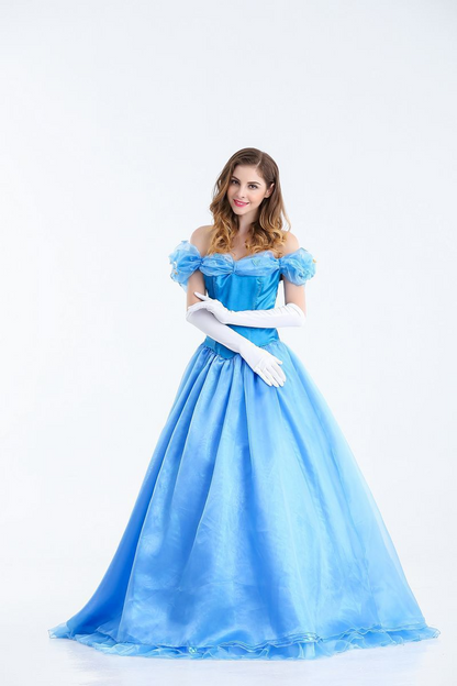 Adult Princess Dress