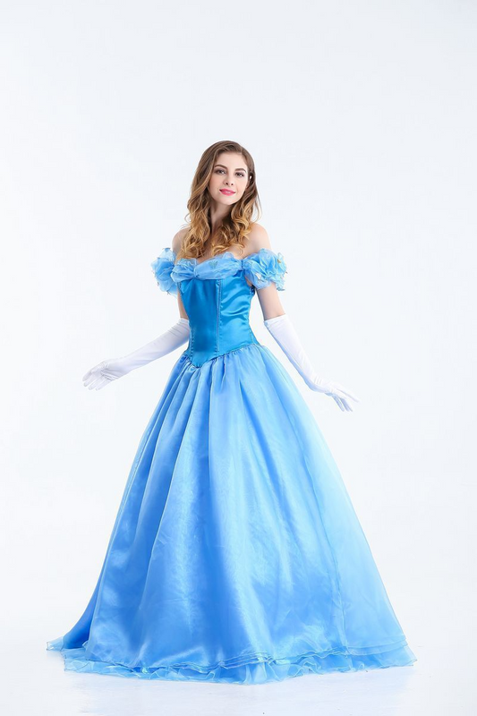 Adult Princess Dress