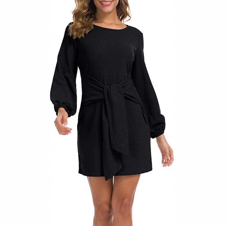 Long Sleeve Tied Waist Mini Dress