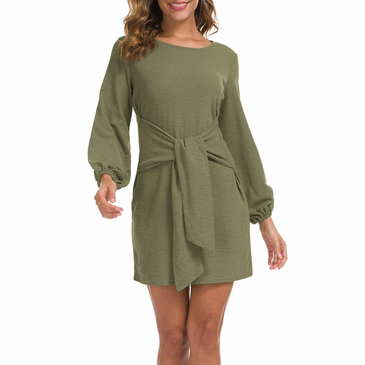 Long Sleeve Tied Waist Mini Dress