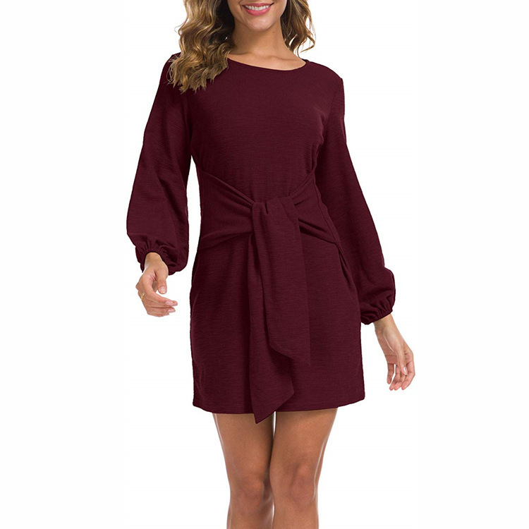 Long Sleeve Tied Waist Mini Dress