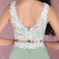 Light Green Chiffon Lace Applique Two-Piece Prom Dress