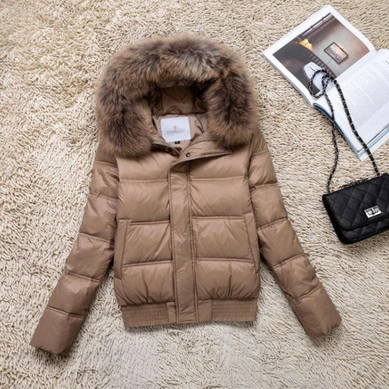 Raccoon Fur Hooded Long Sleeves Puffer Coat