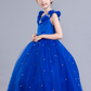 Blue Beaded Jewel Neck Sleeveless Kid's Party Dress