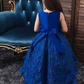 Blue Lace Jewel Neck Sleeveless Tail Kids Party Dress