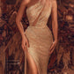 Champagne Sequin Oblique Shoulder Evening Dress