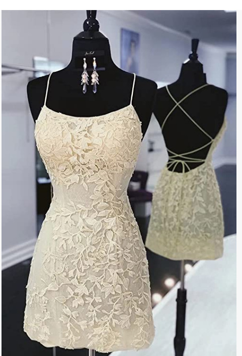 Lace Applique Sleeveless Bodycon Mini Dress