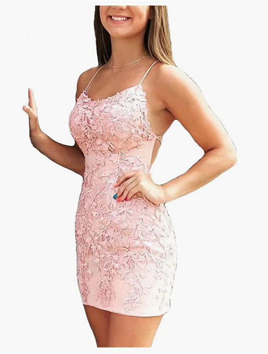 Lace Applique Sleeveless Bodycon Mini Dress