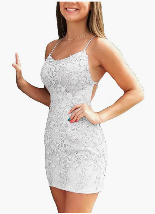 Lace Applique Sleeveless Bodycon Mini Dress