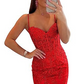 Lace Applique Sleeveless Backless Mini Dress