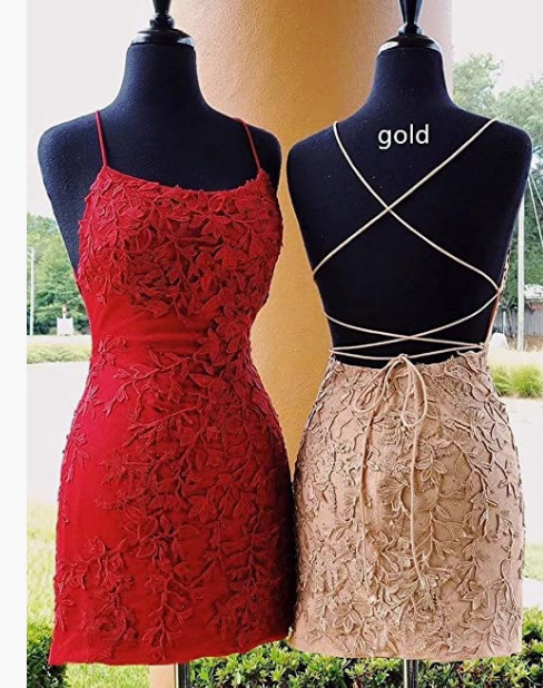 Lace Applique Sleeveless Bodycon Mini Dress